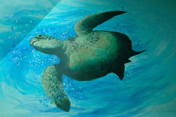 Sea Turtle by Paul Means