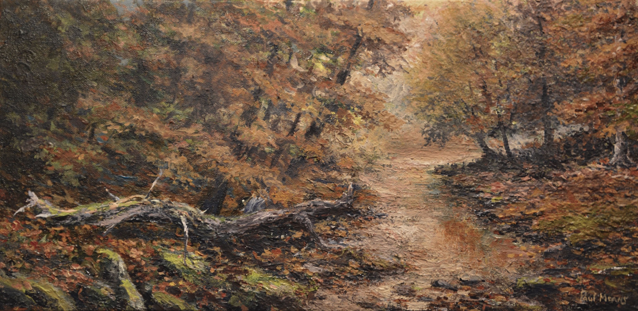 Brook Trout? by Paul Means