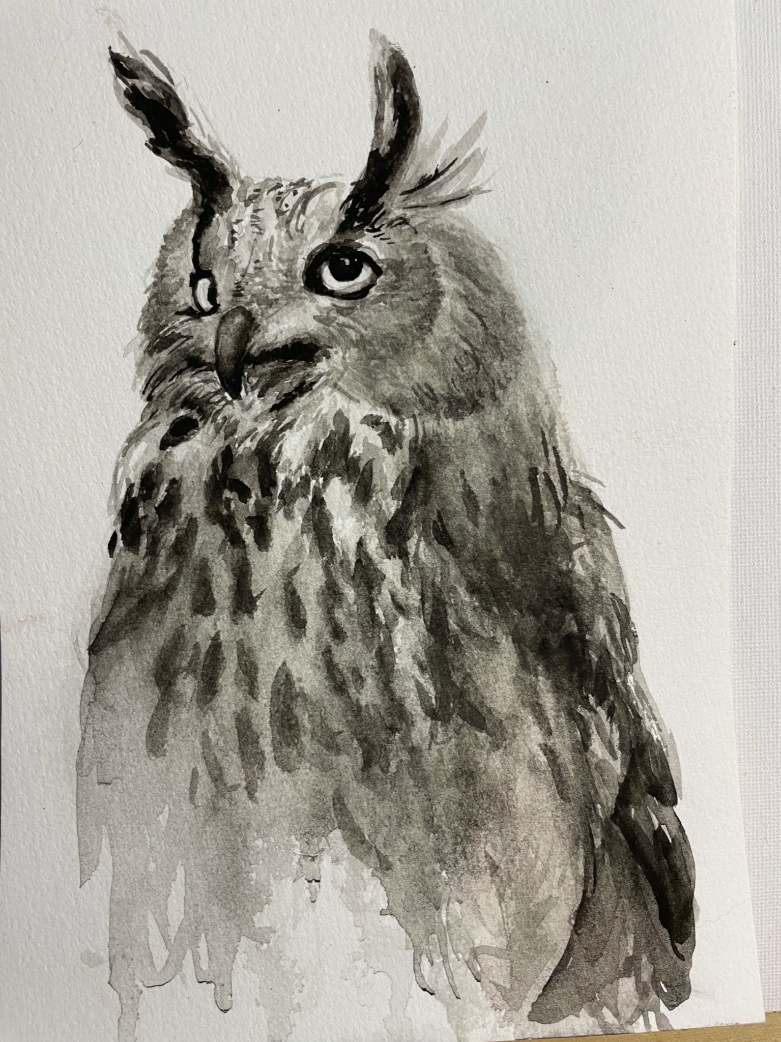 Click here to view Owl by Paul Means