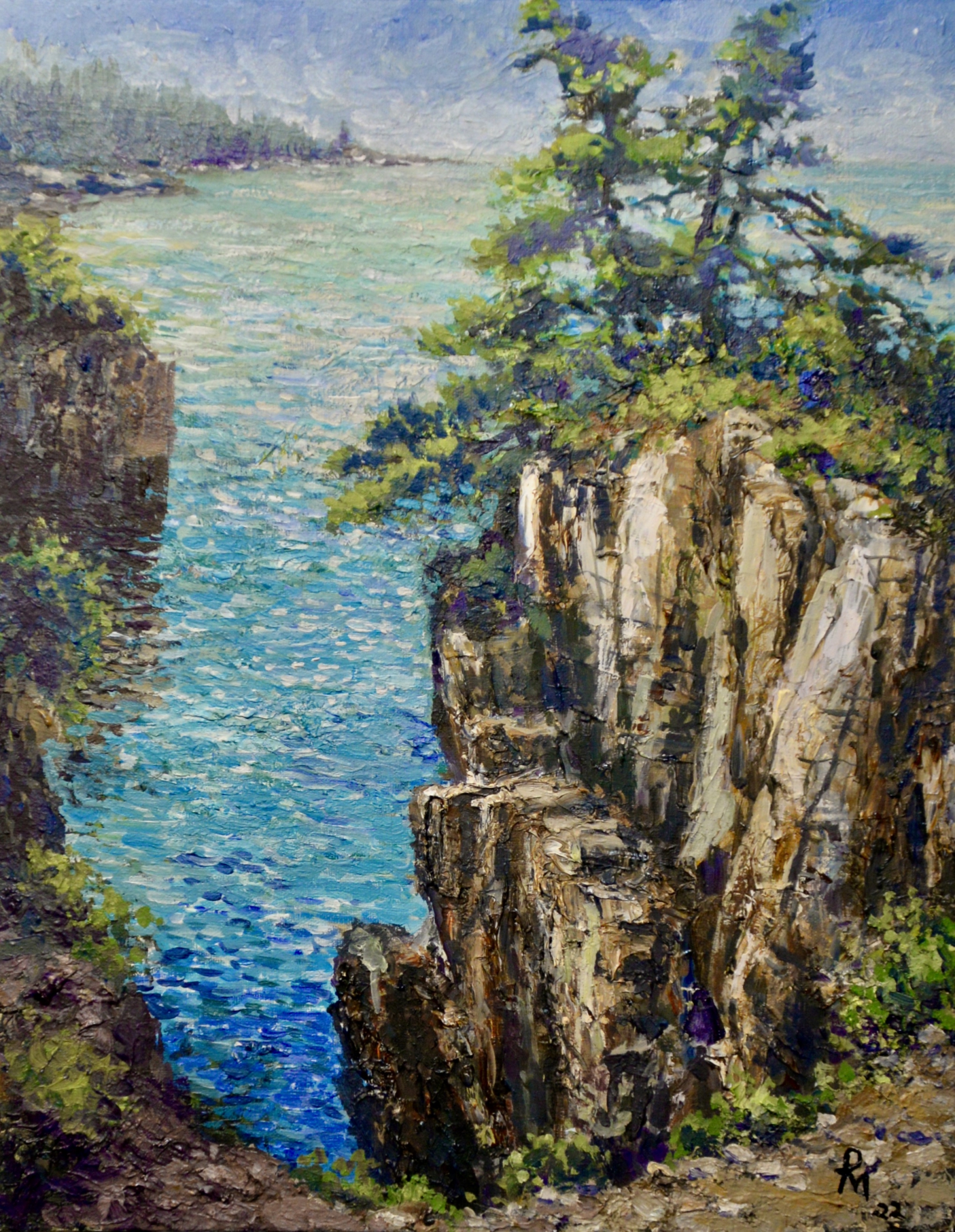 Click here to view Raven's Nest by Paul Means