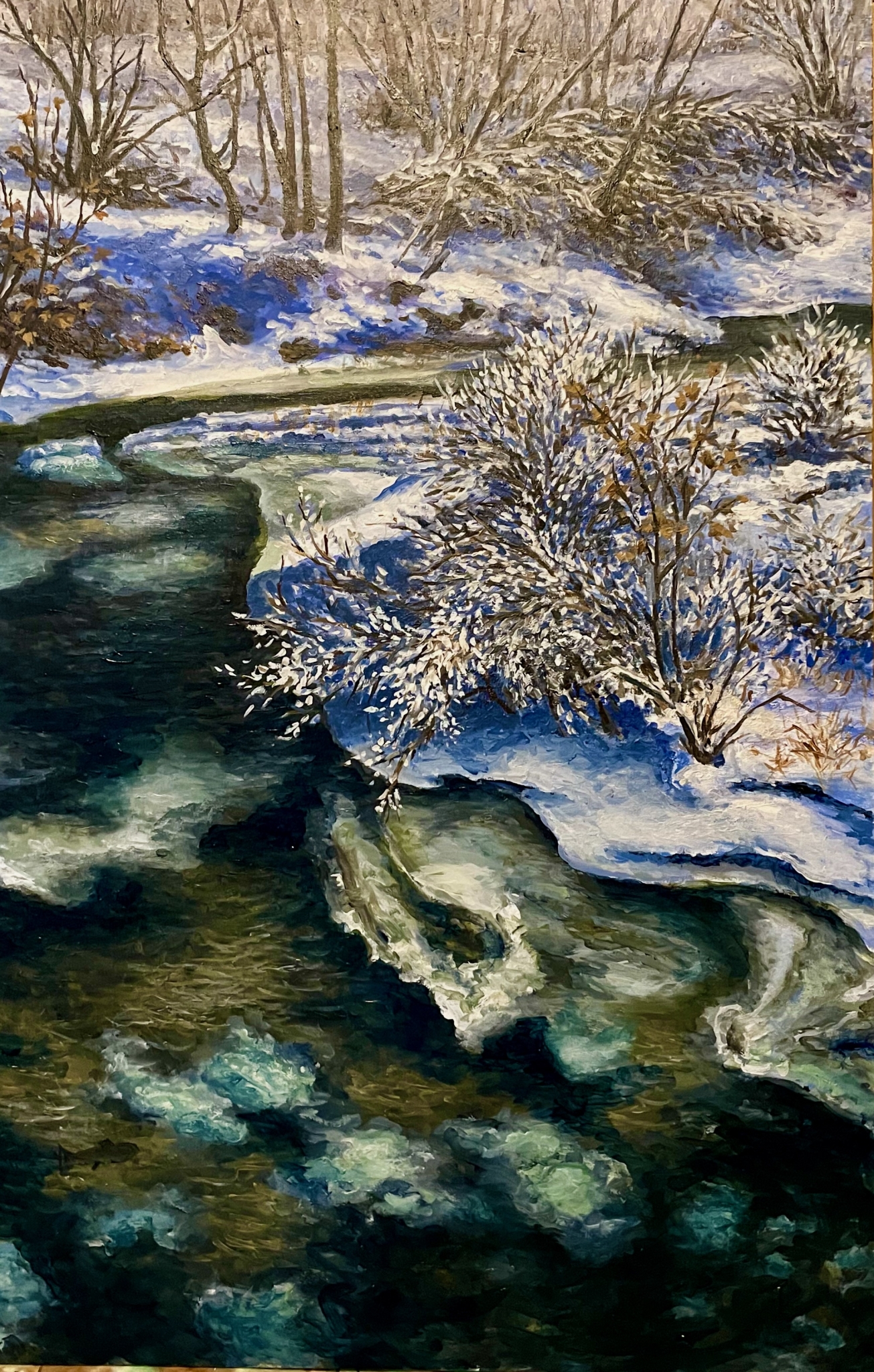 Blue Jay Ice by Paul Means