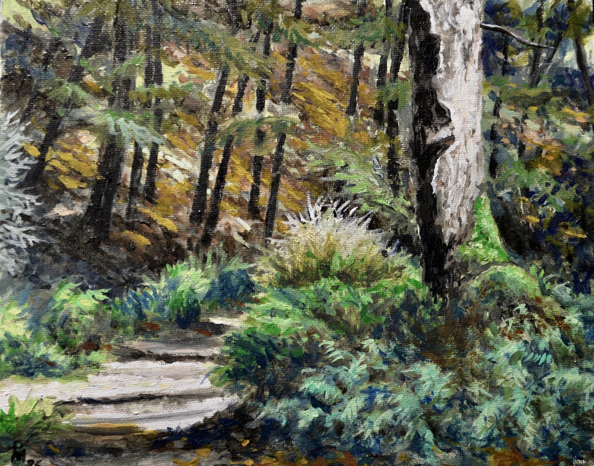 Forest Walk by Paul Means