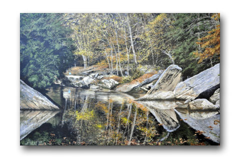 McConnells Calm by Paul Means