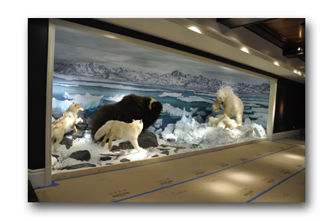 arctic by Paul Means