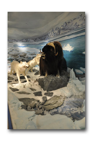 Click here to view arctic by Paul Means