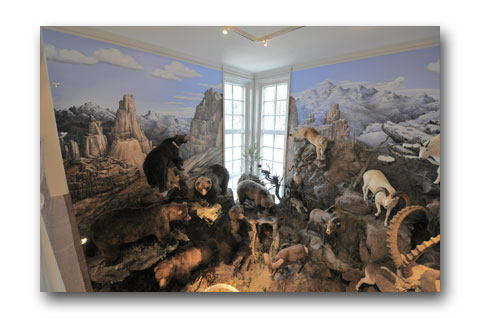 Click here to view Mountain Peaks by Paul Means