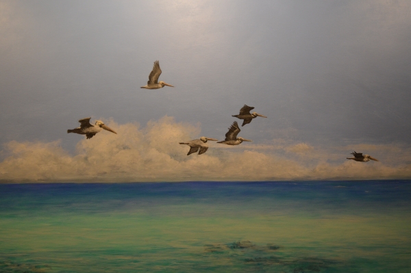 beach mural detail by Paul Means